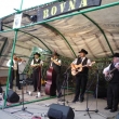 HECFEST ROVN� TELEGRAF